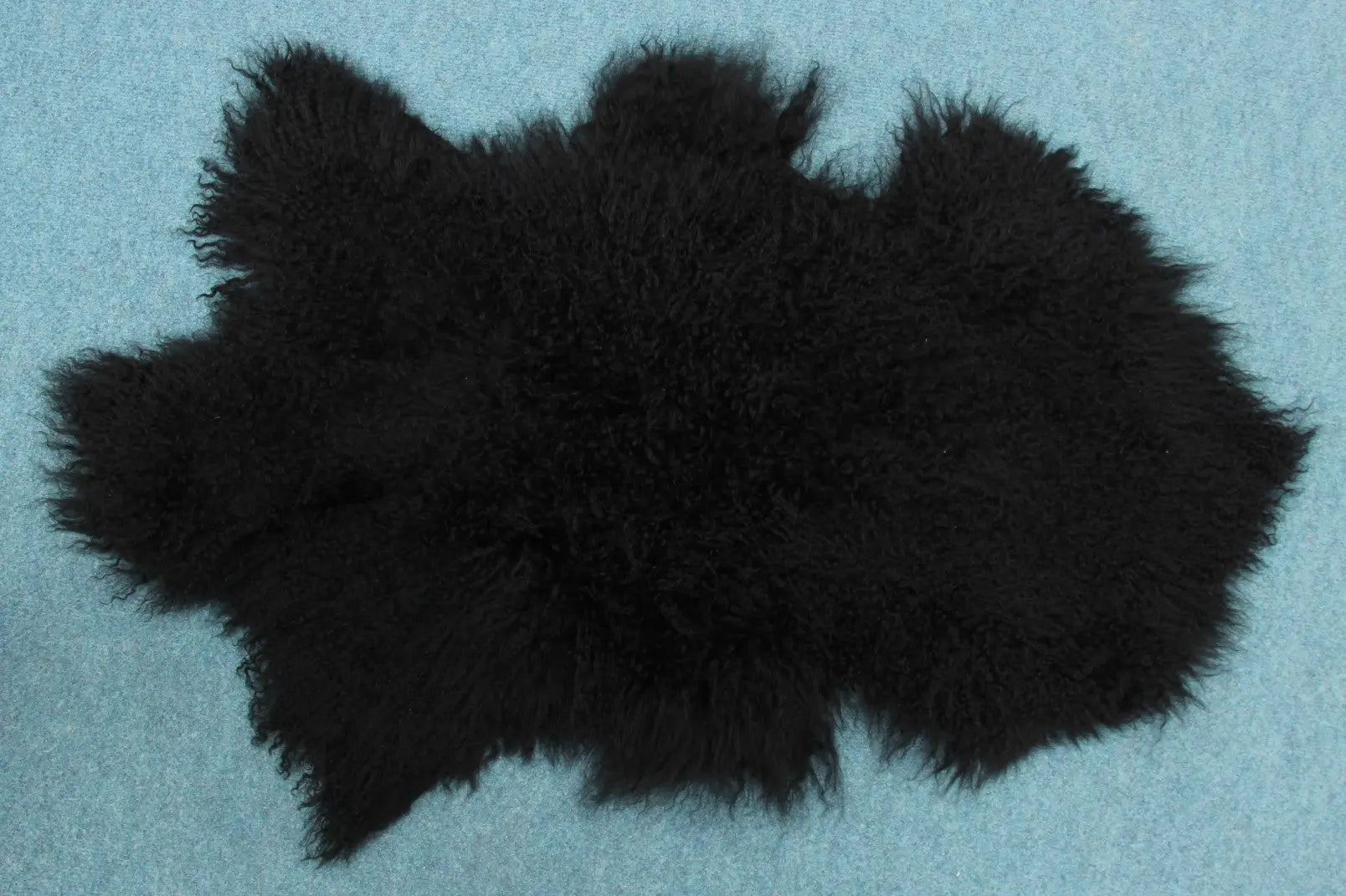Tibet Schaffell wie Gotland schwarz gefärbt