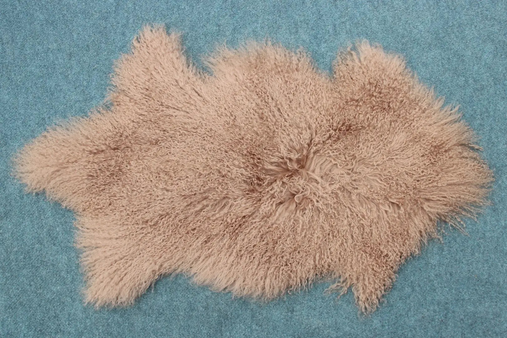 Tibet Schaffell wie Gotland taupe gefärbt