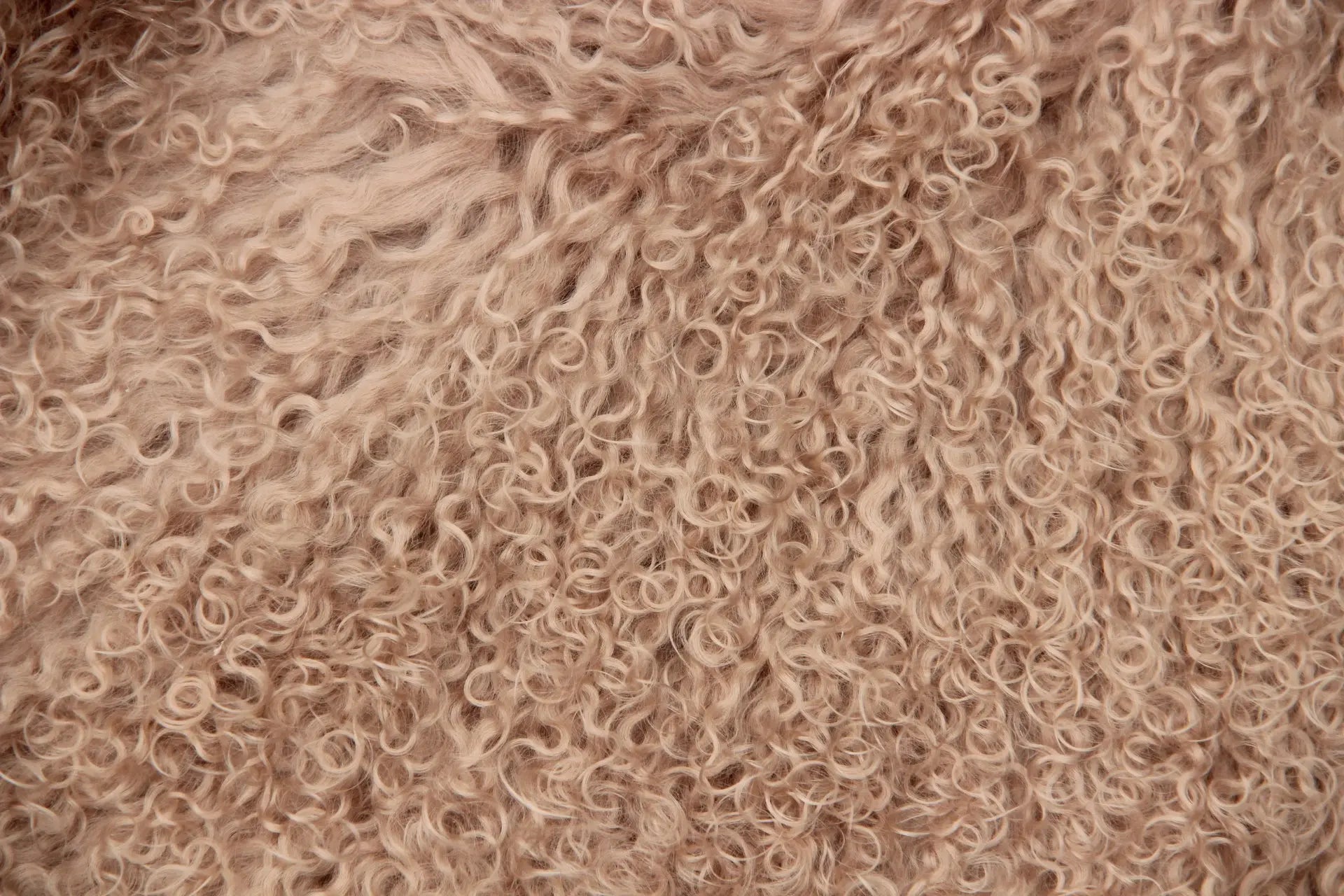 Tibet Schaffell wie Gotland taupe gefärbt