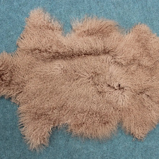 Tibet Schaffell wie Gotland taupe gefärbt