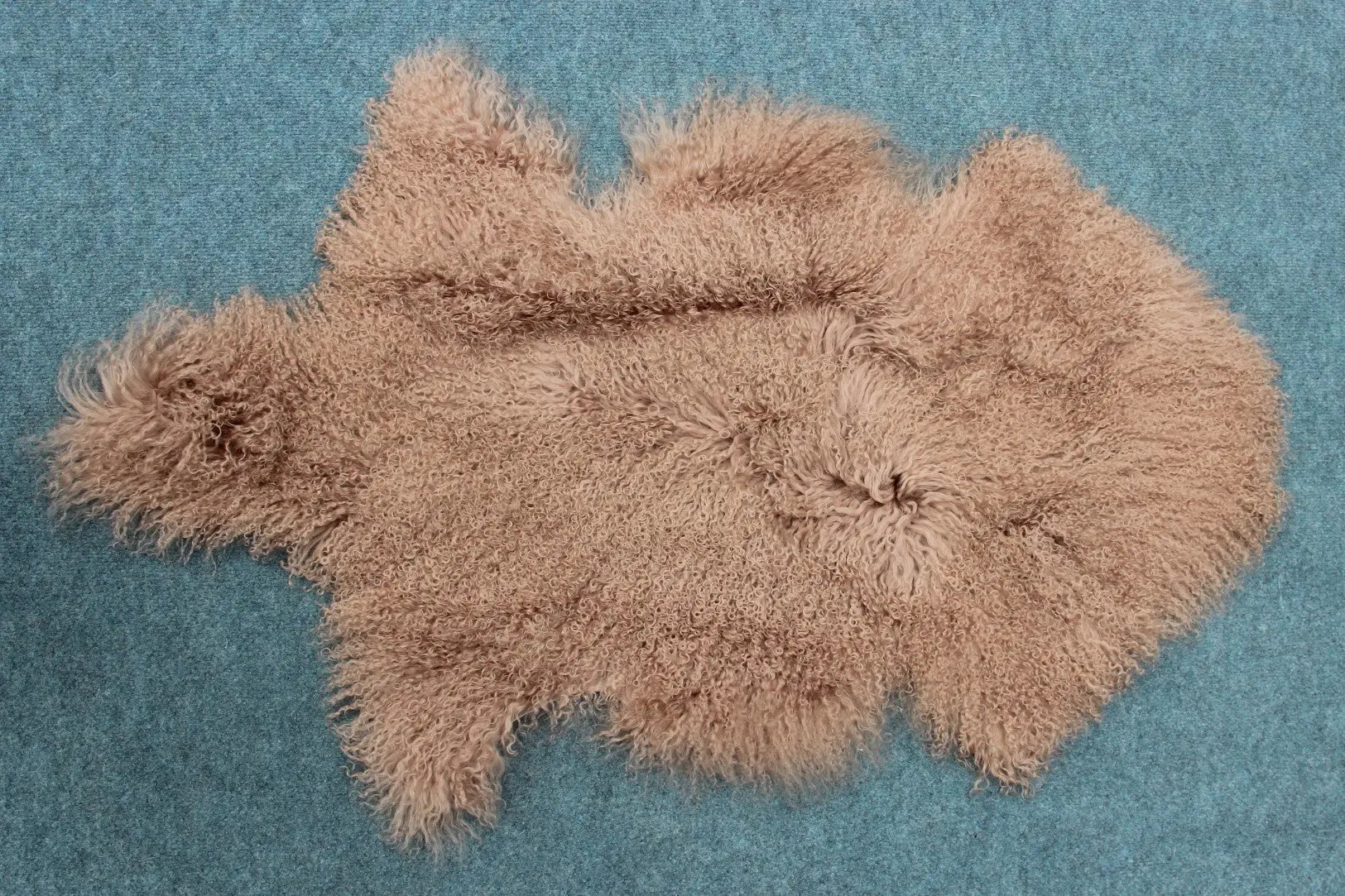 Tibet Schaffell wie Gotland taupe gefärbt