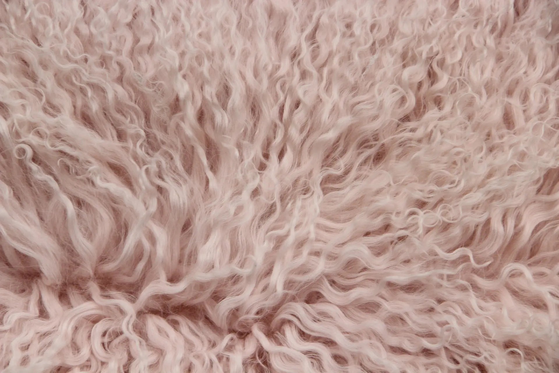 Tibet Schaffell wie Gotland rose gefärbt