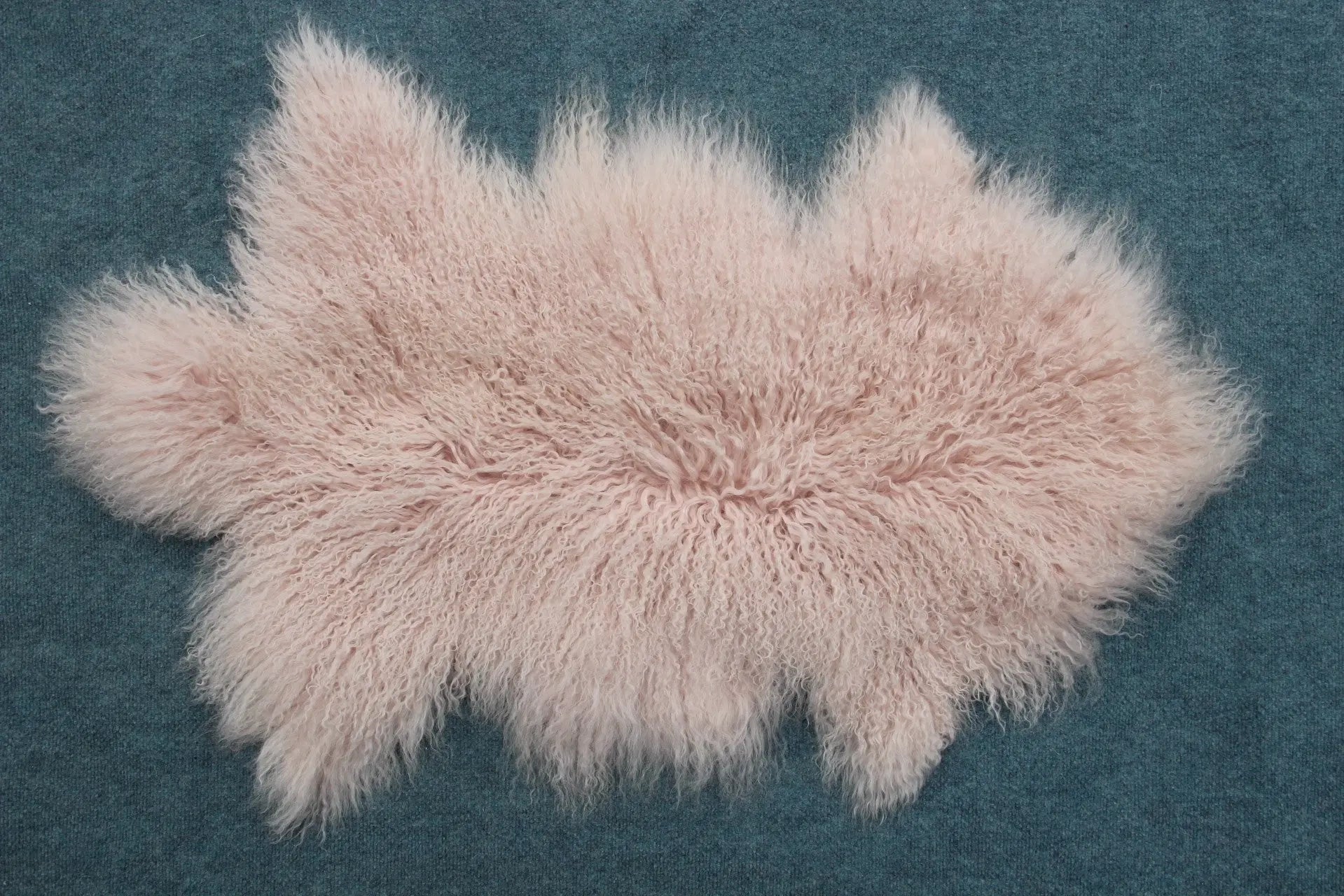 Tibet Schaffell wie Gotland rose gefärbt