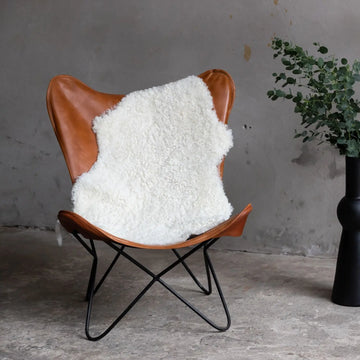 Lammfell Curly - OFF-White- (geschoren gelockt)