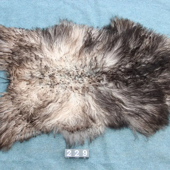 Gotland Schaffell (229)