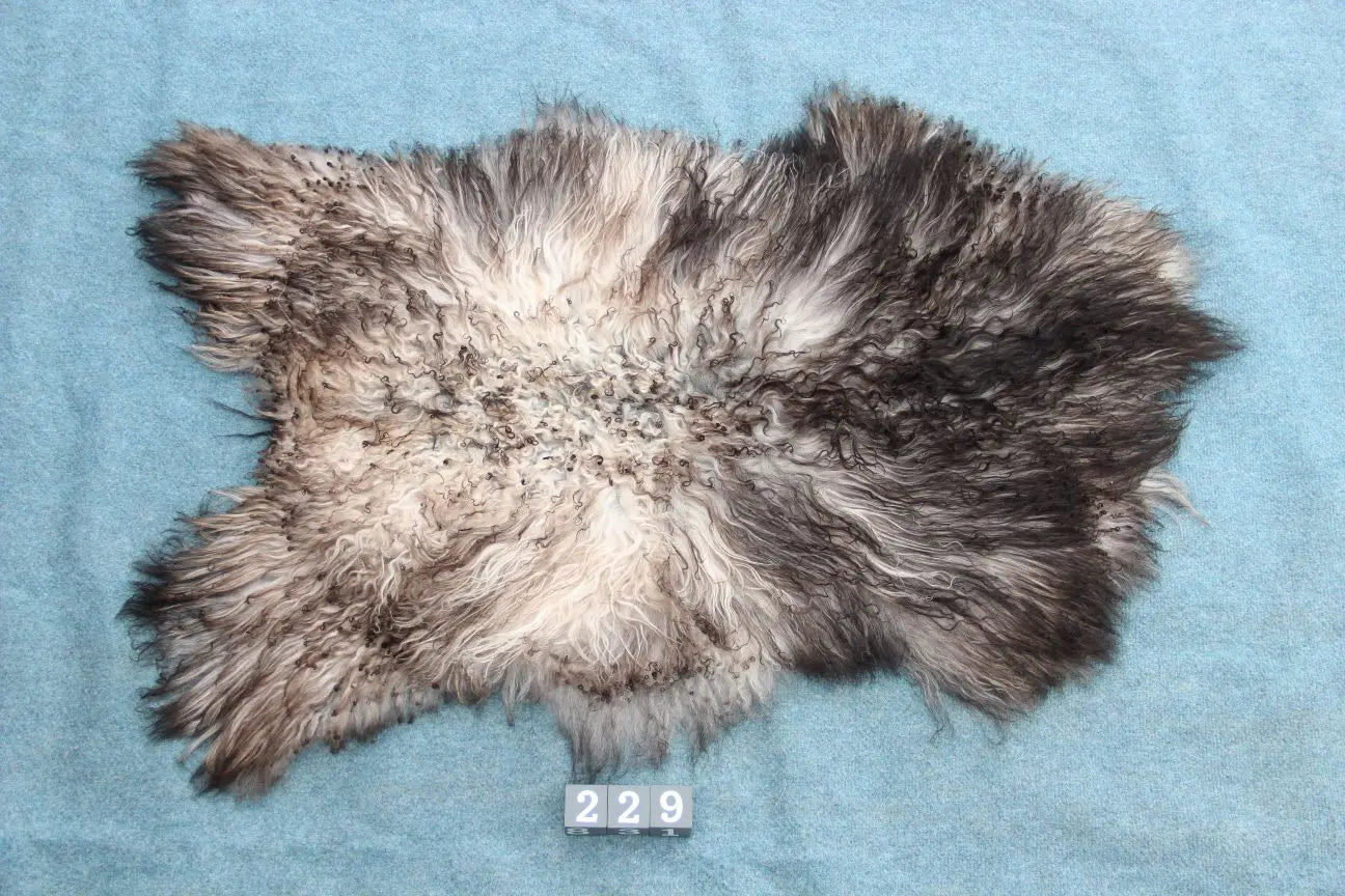 Gotland Schaffell (229)