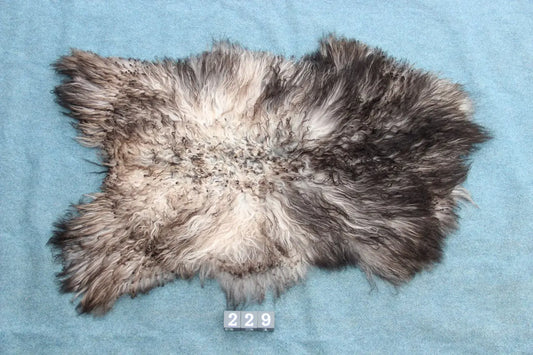 Gotland Schaffell (229)