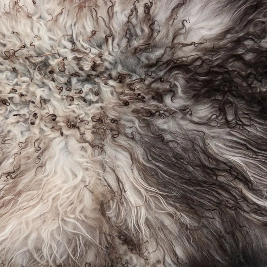 Gotland Schaffell (229)