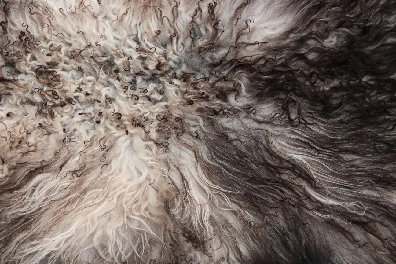 Gotland Schaffell (229)