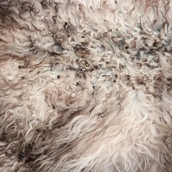 Gotland Schaffell (229)