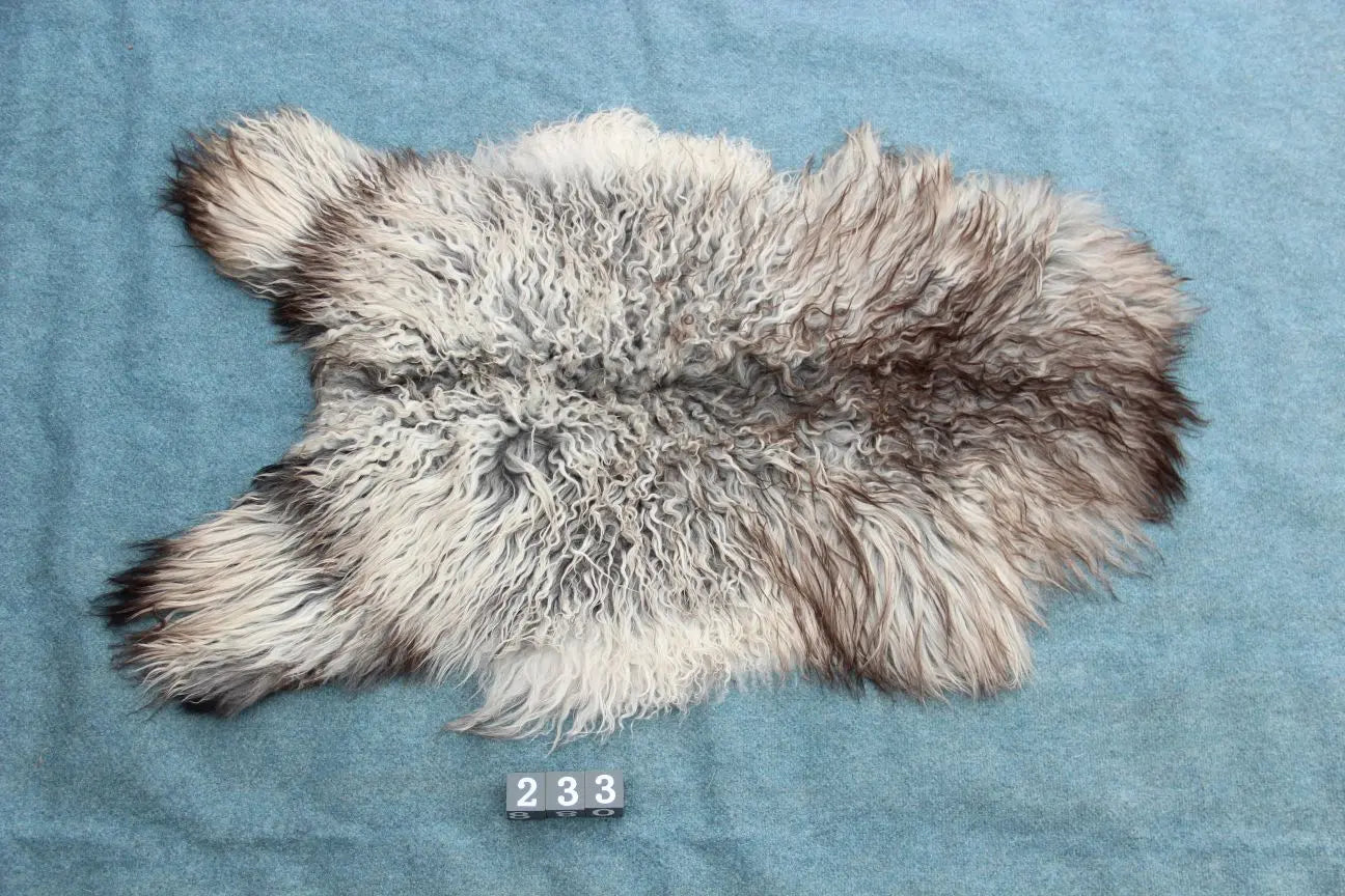 Gotland Schaffell (233)