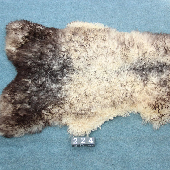 Gotland Schaffell (224)