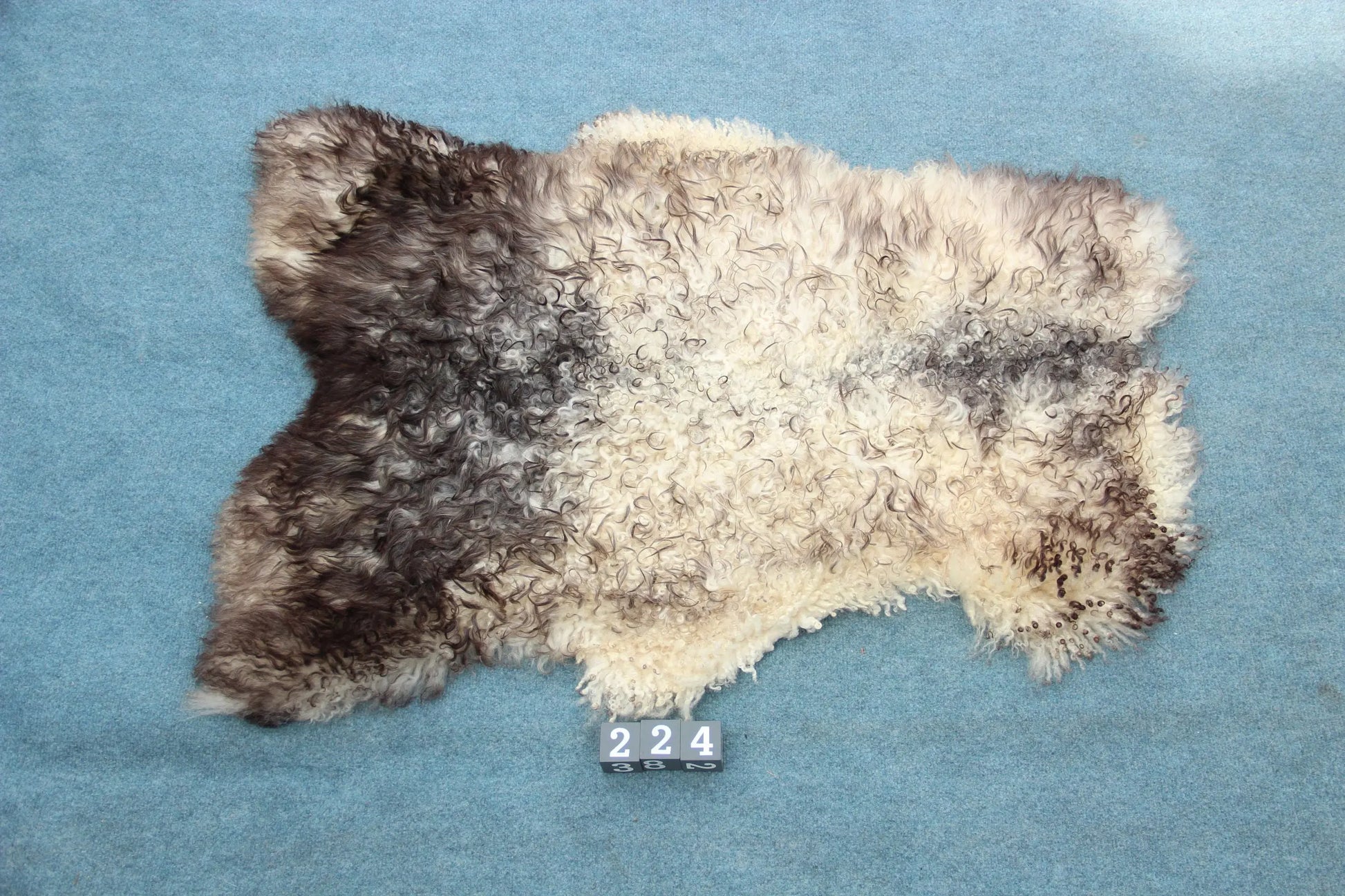 Gotland Schaffell (224)