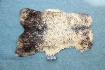 Gotland Schaffell (224)