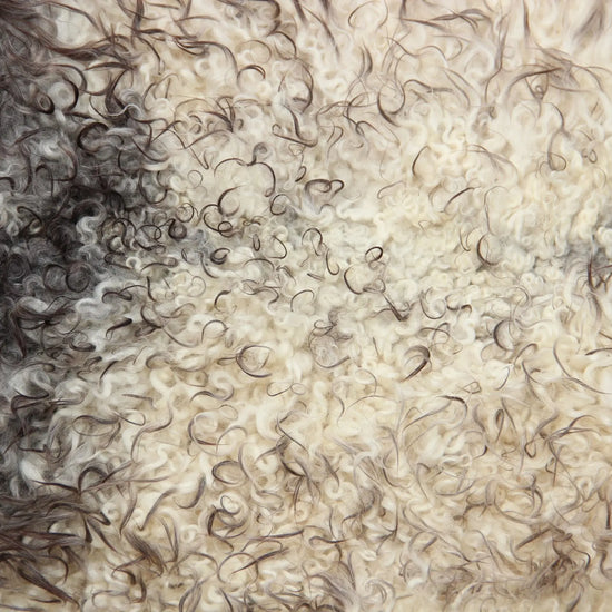 Gotland Schaffell (224)