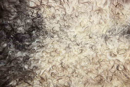 Gotland Schaffell (224)