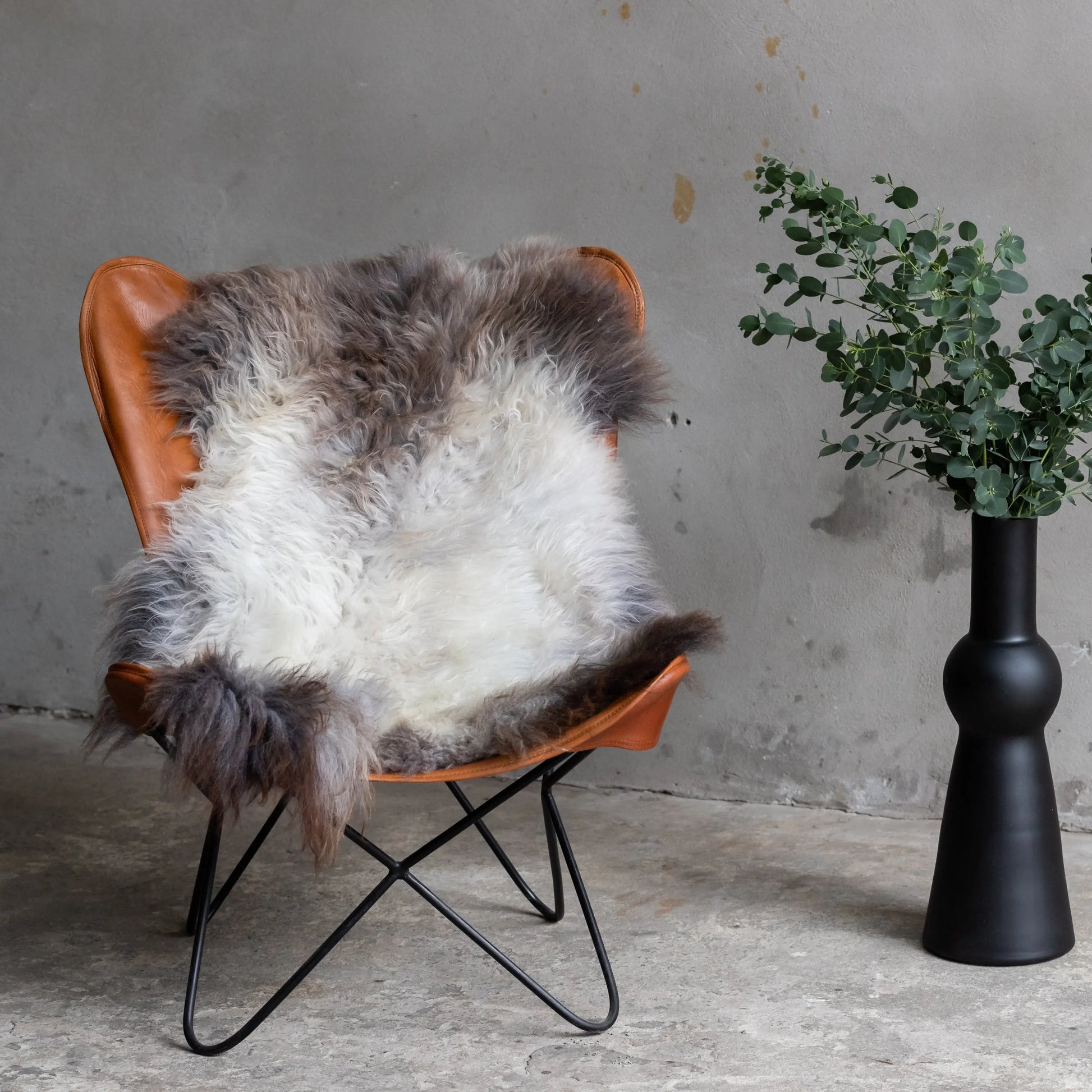 Lammfell Braun mit Silberrücken (Naturfarben)