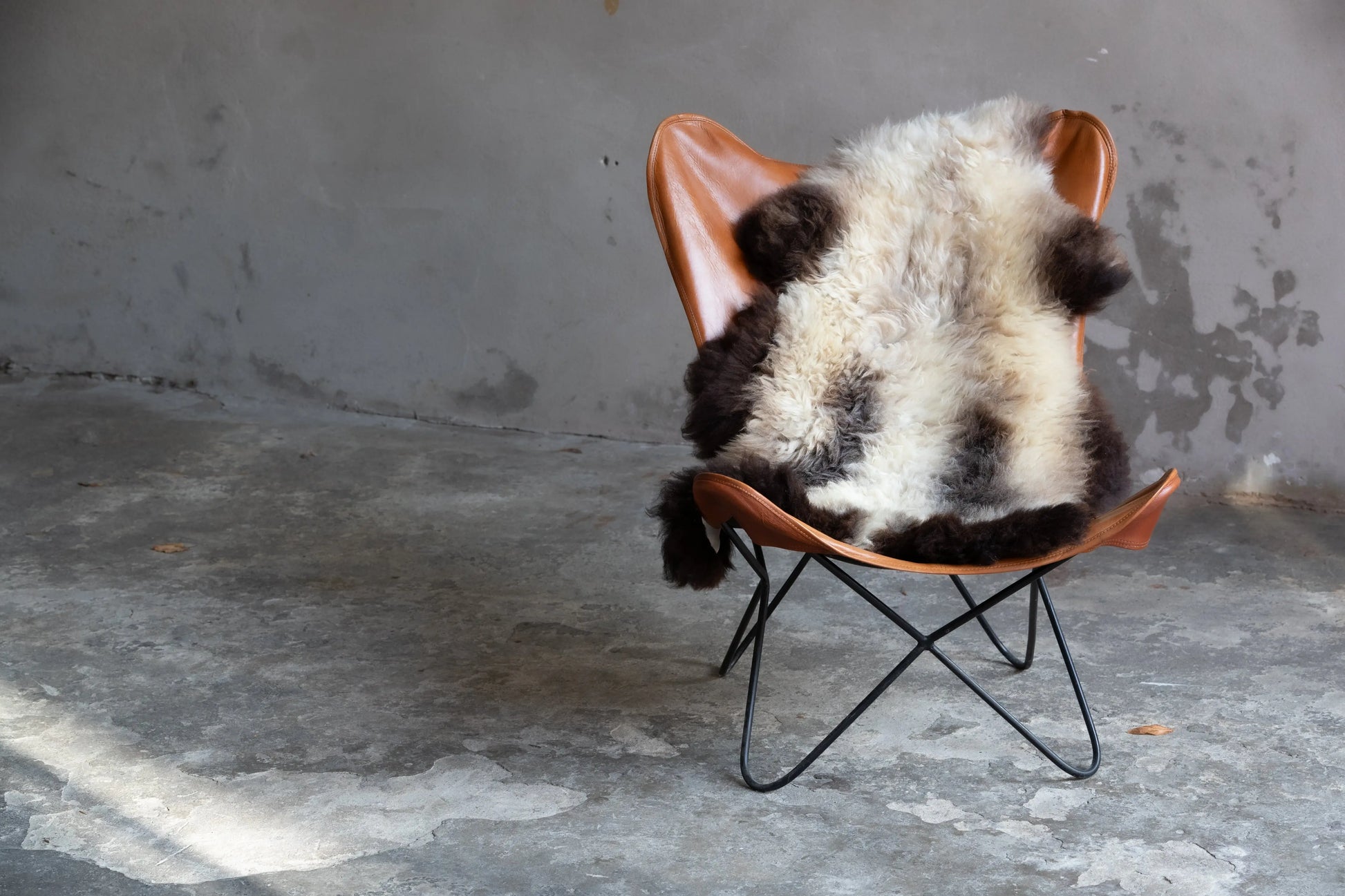 Lammfell Braun mit Silberrücken (Naturfarben)