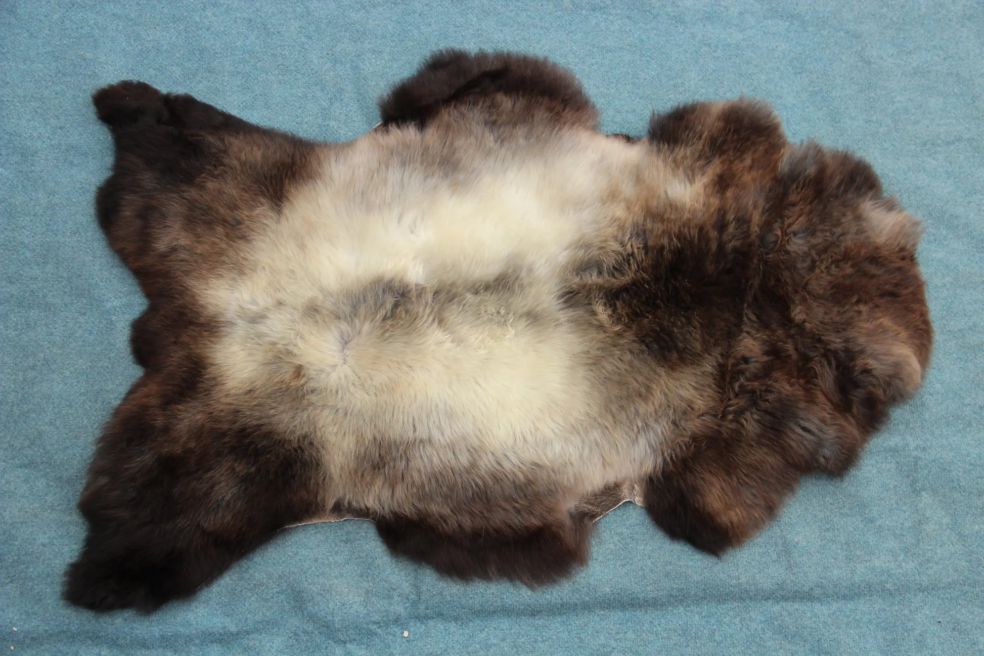 Lammfell Braun mit Silberrücken (Naturfarben)