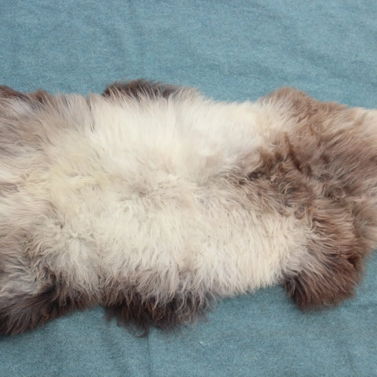 Lammfell Braun mit Silberrücken (Naturfarben)