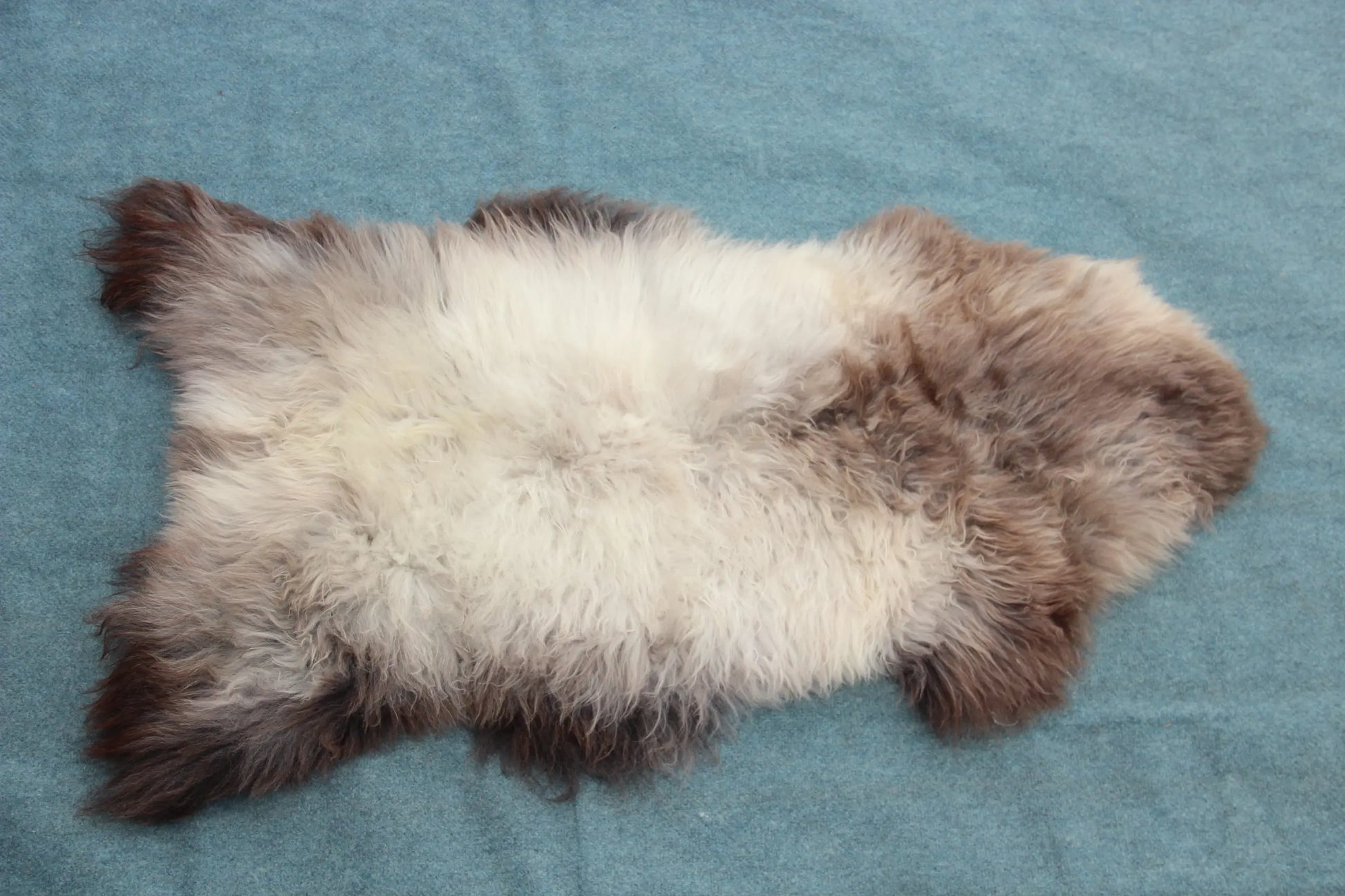Lammfell Braun mit Silberrücken (Naturfarben)