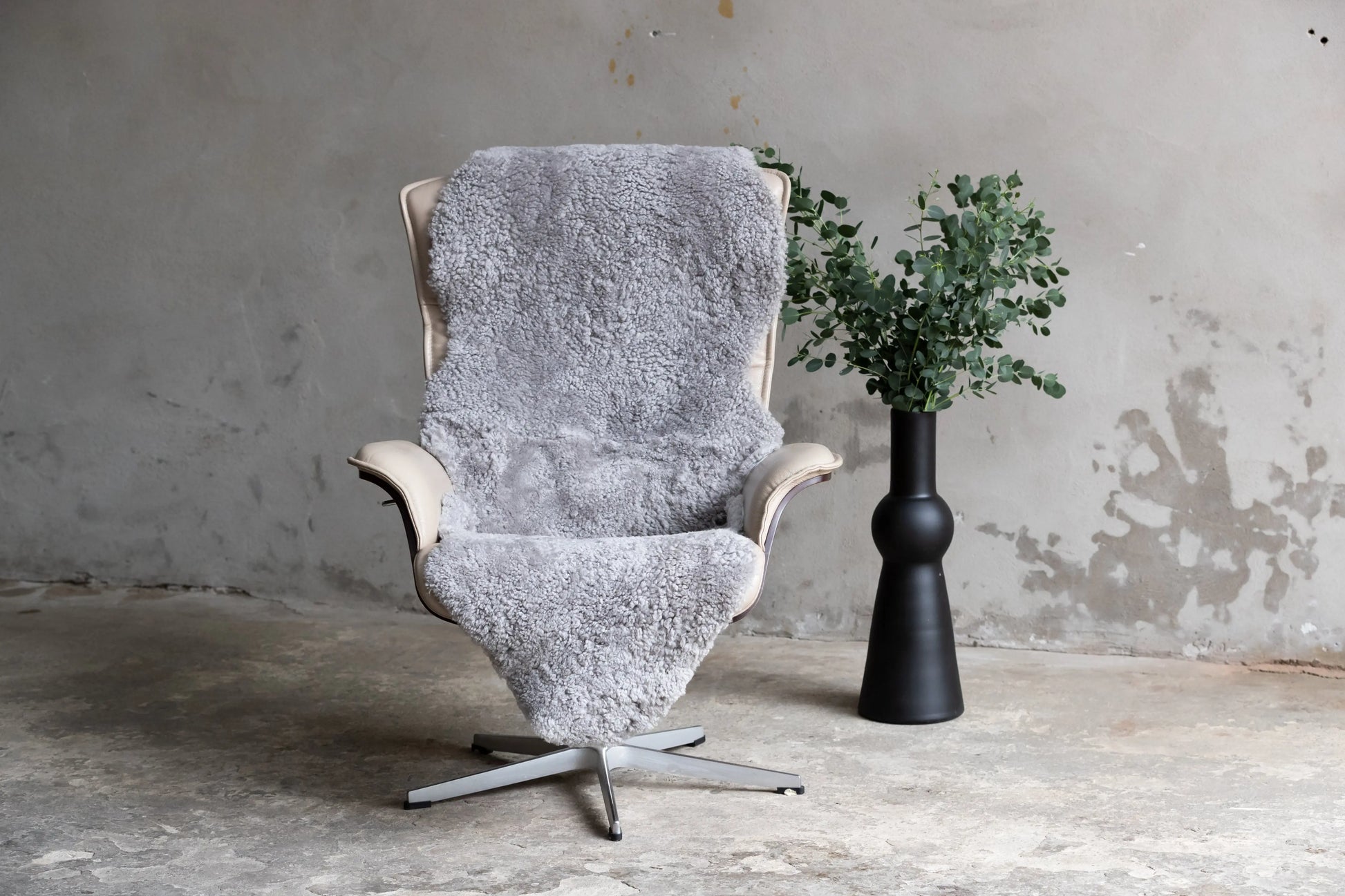 2er Lammfell Curly - Platin - (geschoren gelockt)