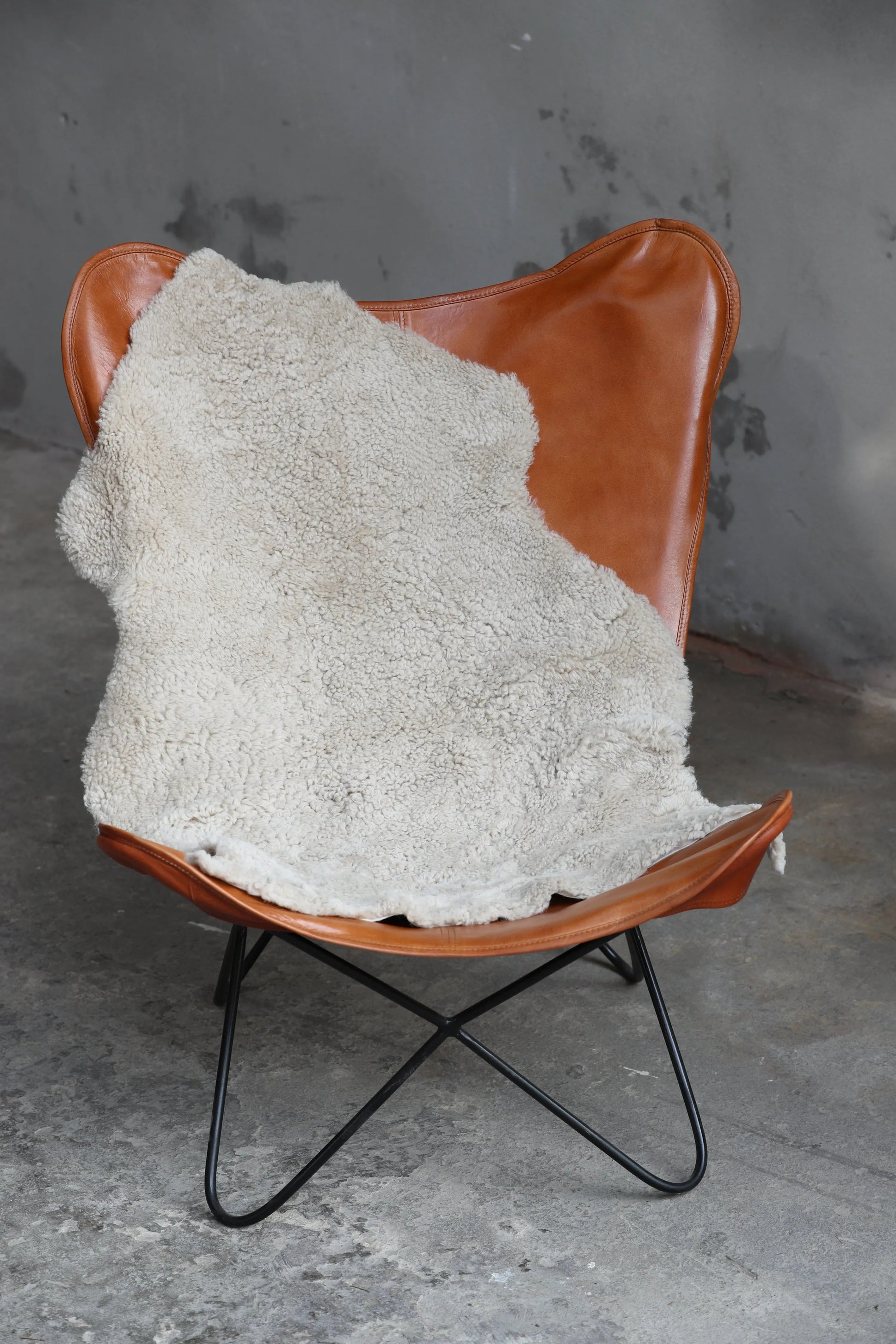 Lammfell Curly - Perl - (geschoren gelockt )