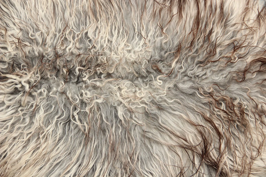 Gotland Schaffell (241)