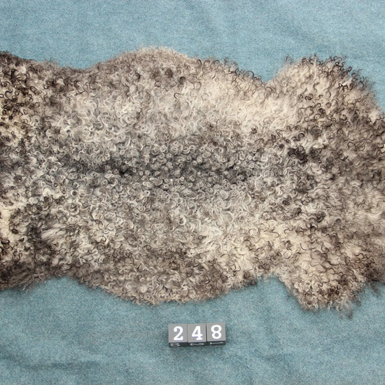 Gotland Schaffell (248)