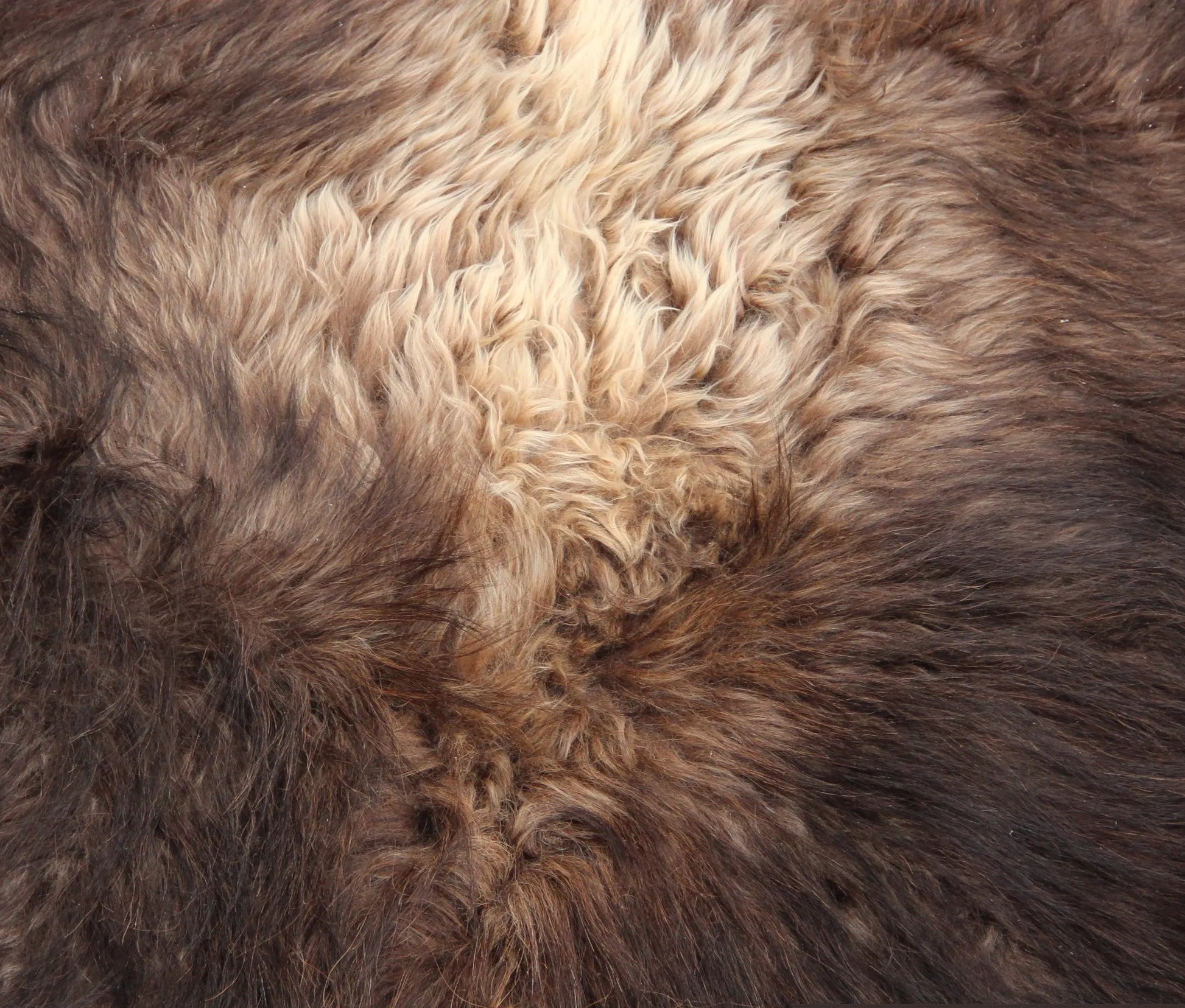 Moschusochsenfell (106) 160x175 cm