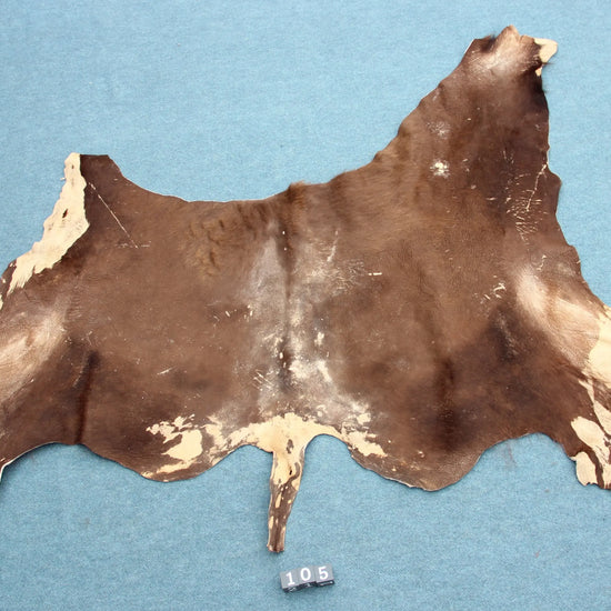 Deutsches Bisonfell (105)