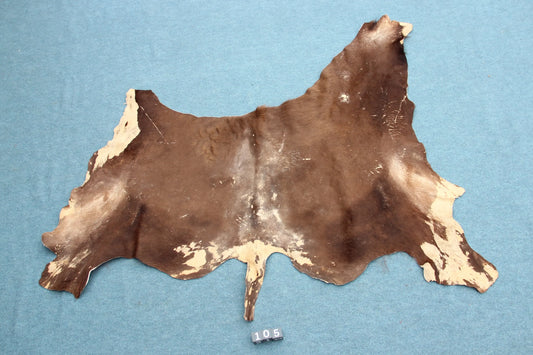 Deutsches Bisonfell (105)