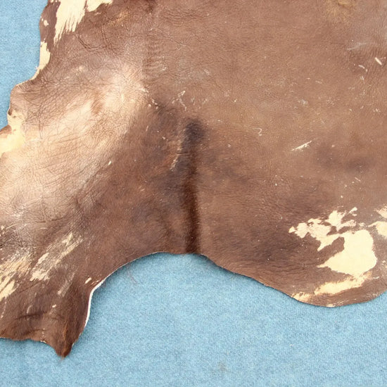 Deutsches Bisonfell (105)