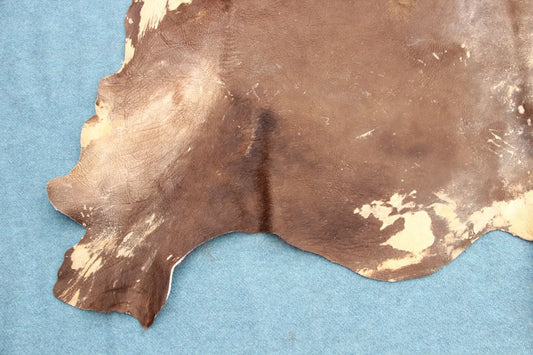 Deutsches Bisonfell (105)