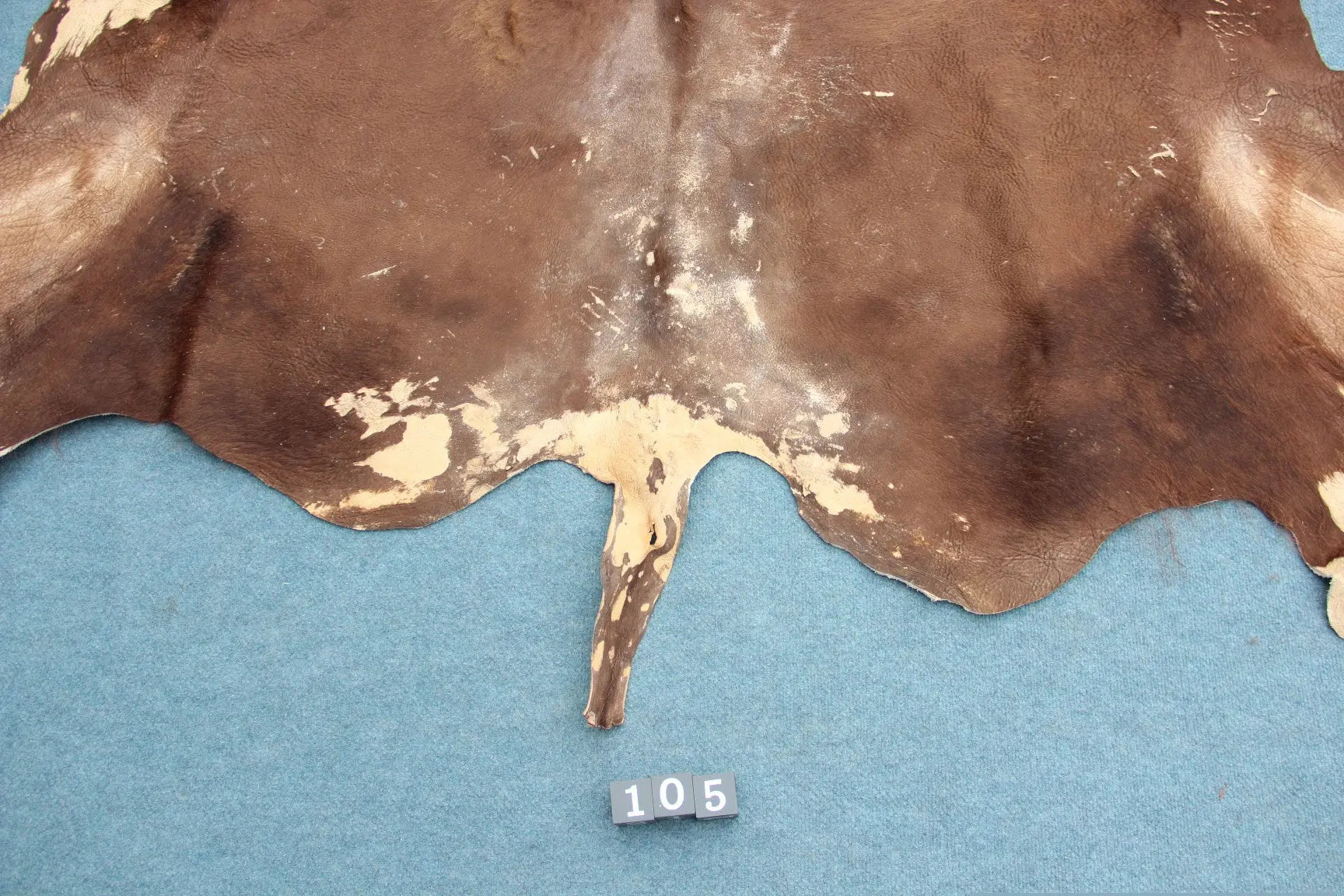 Deutsches Bisonfell (105)