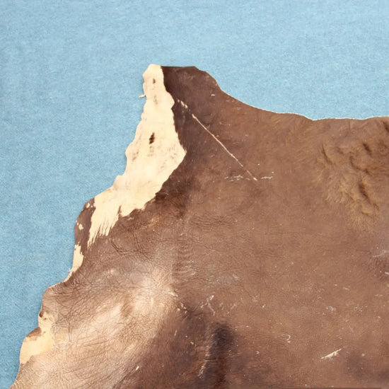 Deutsches Bisonfell (105)