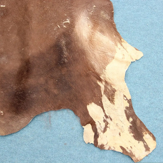 Deutsches Bisonfell (105)