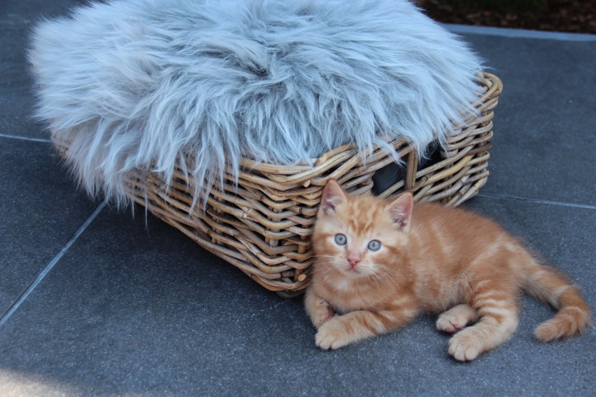 Lammfell Sitzauflage Rund Silber (grau)