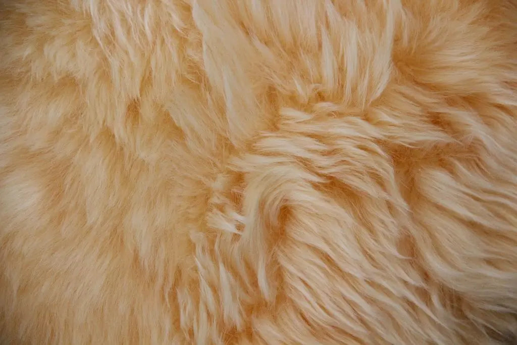 Lammfell Goldgelb (nicht geschoren)