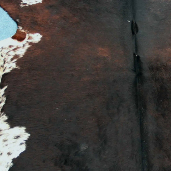 Kuhfell Schwarz Braun Weiß gepunktet (3441)