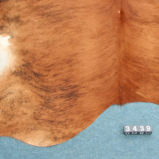 Kuhfell Schwarz Braun Weiß getigert (3439)