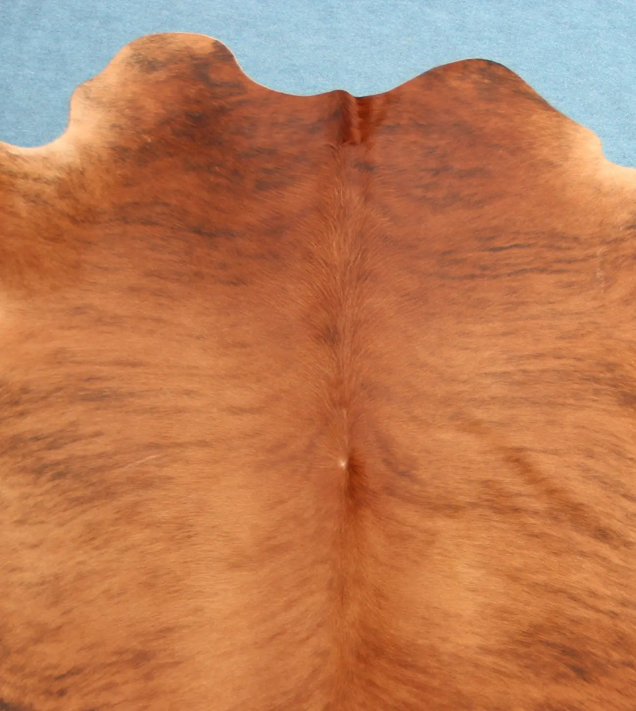 Kuhfell Schwarz Braun Weiß getigert (3439)