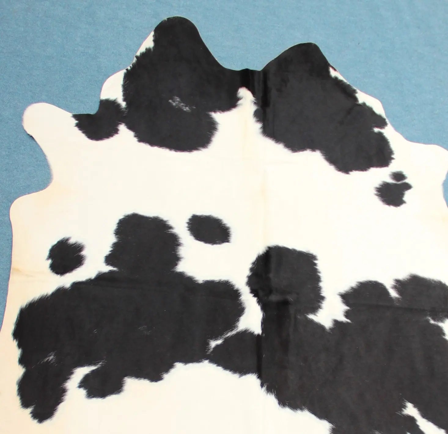 Kuhfell Schwarz Weiß gepunktet (4157) XXL 4-5qm