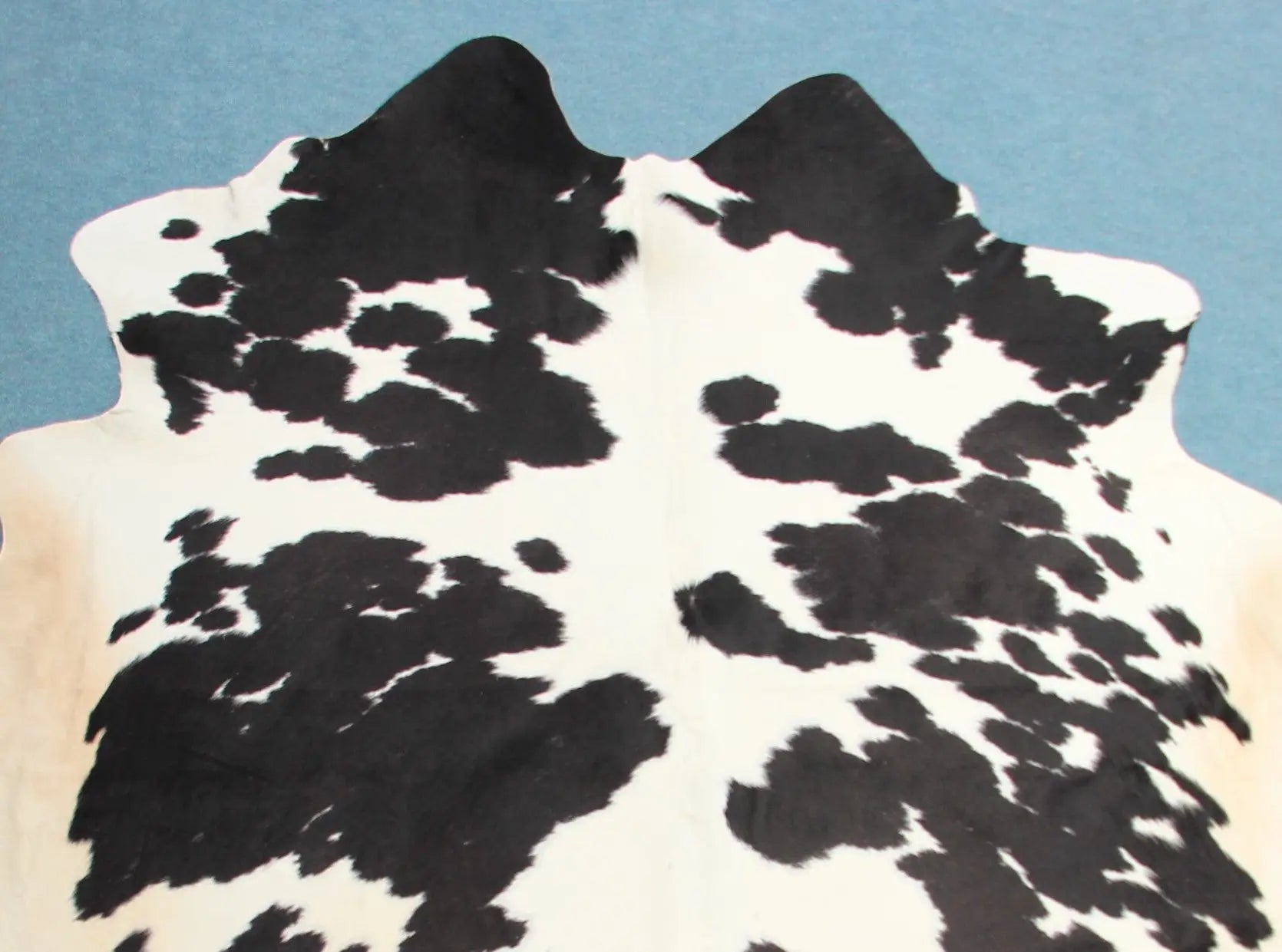 Kuhfell Schwarz Weiß Beige gepunktet (4158) XXL 4-5 qm