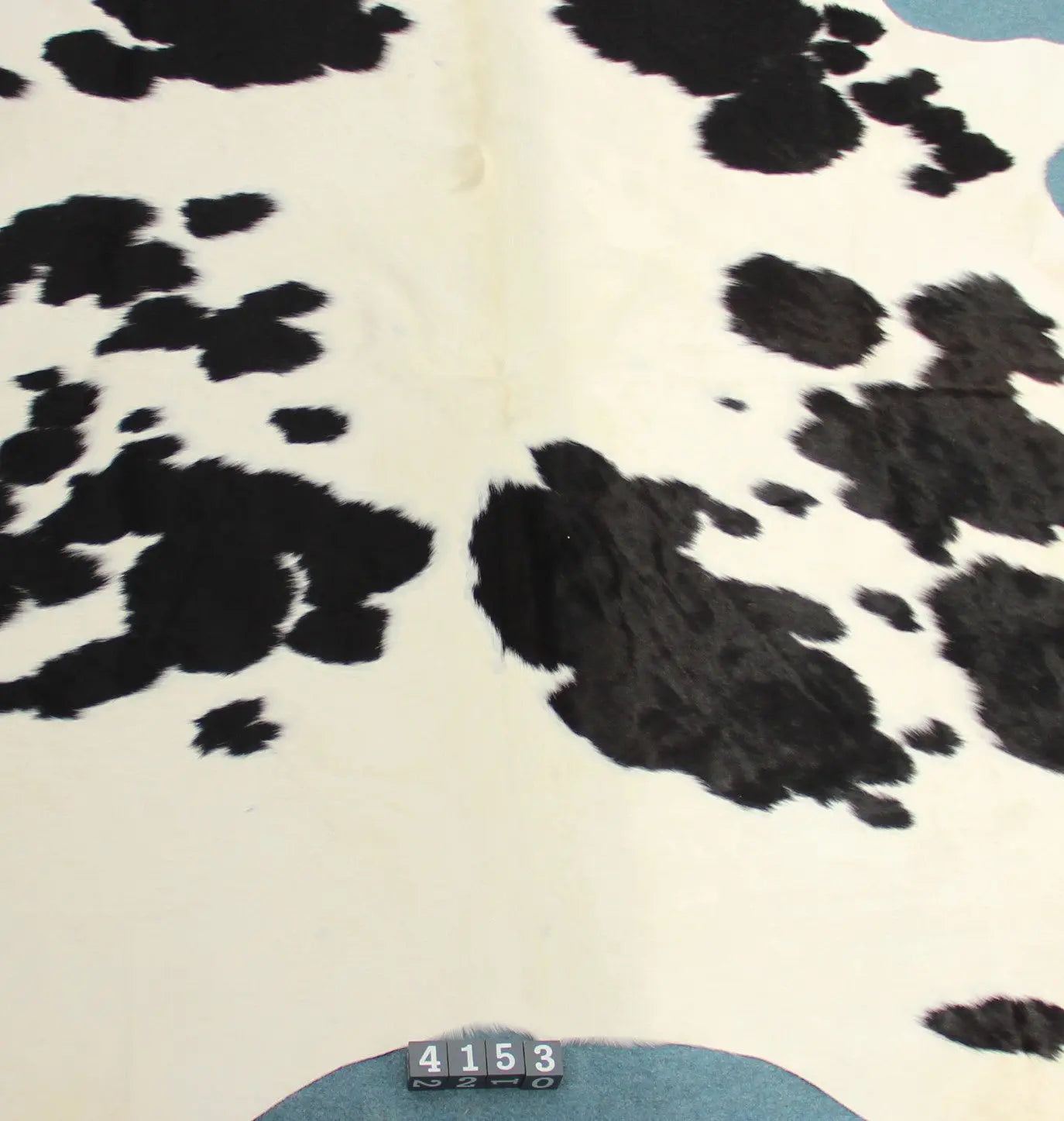 Kuhfell Schwarz Weiß gepunktet (4153) XXL 4-5qm