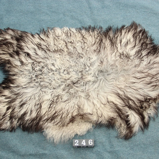 Gotland Schaffell (246)