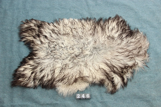 Gotland Schaffell (246)