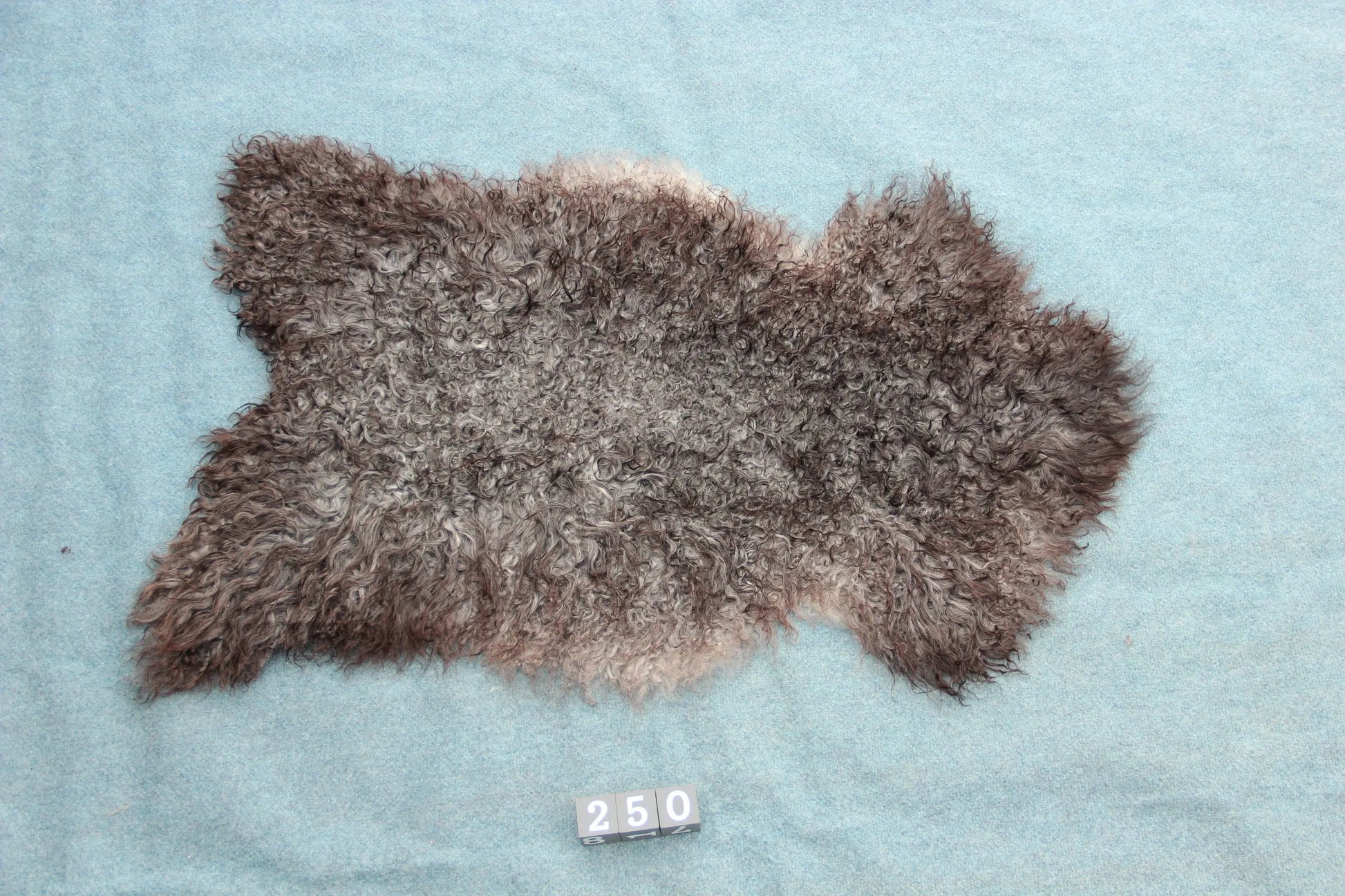 Gotland Schaffell (250)