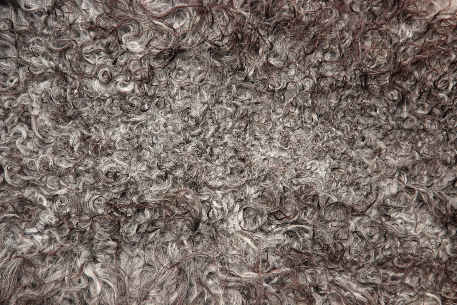 Gotland Schaffell (250)