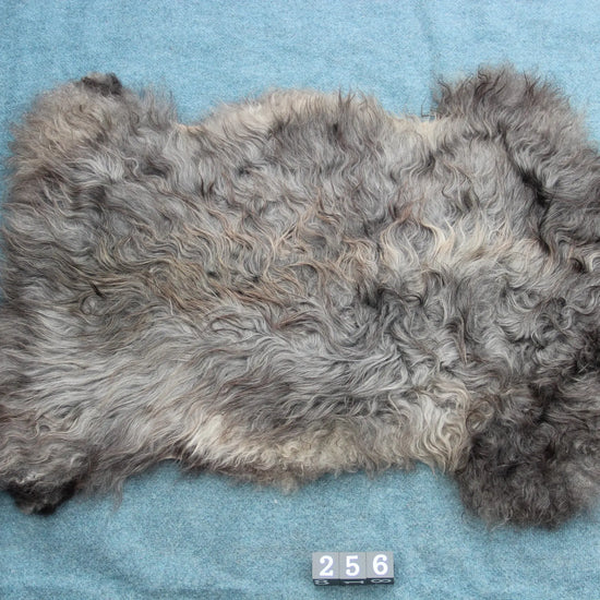 Gotland Schaffell (256)